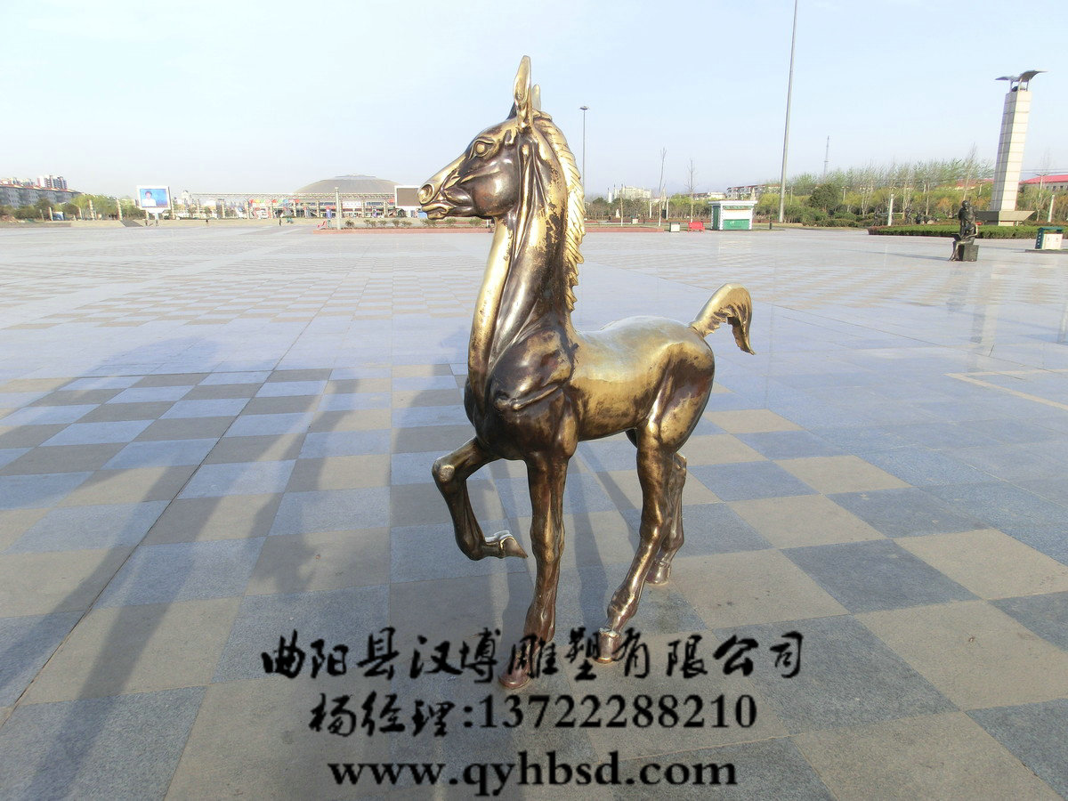 ��ͭС���������,���й㳡��԰����